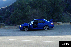avicon
